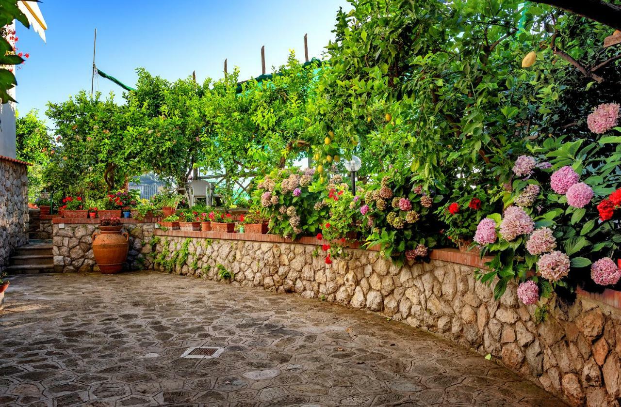 The Lookout Of Pipiano Villa Massa Lubrense Dış mekan fotoğraf