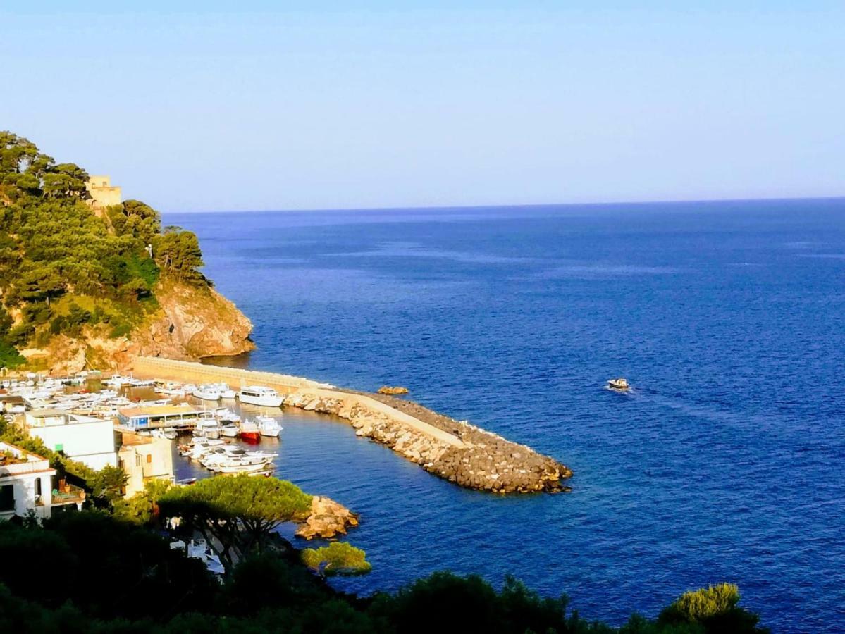 The Lookout Of Pipiano Villa Massa Lubrense Dış mekan fotoğraf